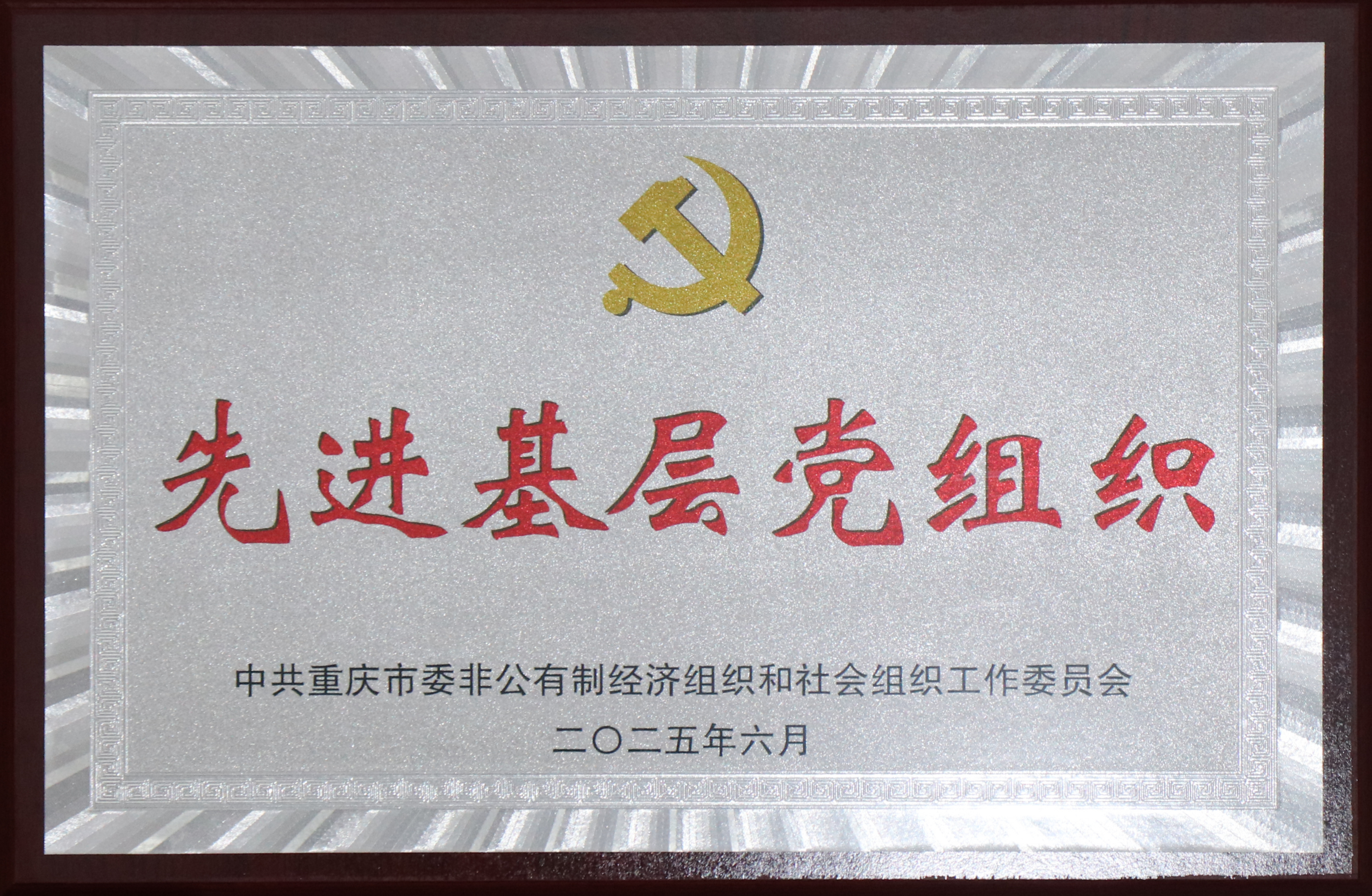 重庆市委非公经济与社会组织工委2025年先进基础党组织.png 重庆市委非公经济与社会组织工委2025年先进基础党组织.png